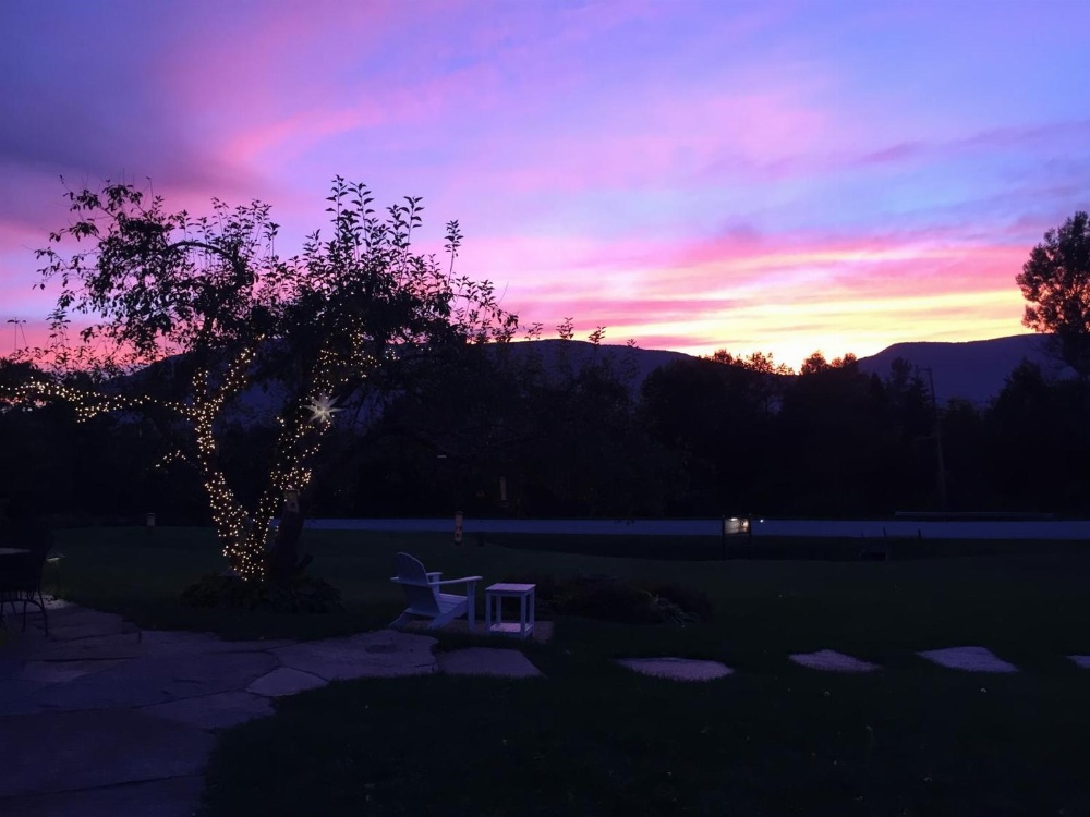 The Stamford Motel Main image